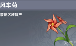 原神风车菊分布图