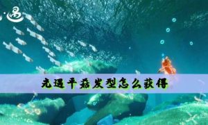 光遇平菇发型怎么获得
