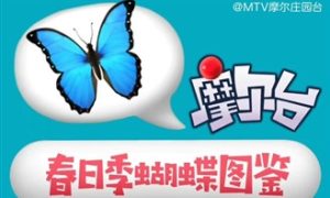摩尔庄园蝴蝶图鉴大全