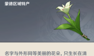 原神塞西莉亚花采集路线