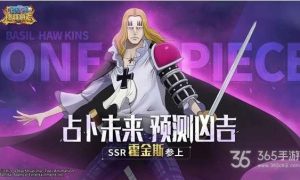 航海王燃烧意志霍金斯加点攻略大全