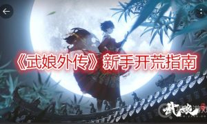 武娘外传新手开荒指南