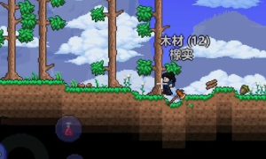 泰拉瑞亚召唤法杖排行榜2022-泰拉瑞亚