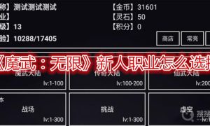 魔武：无限新人职业怎么选择