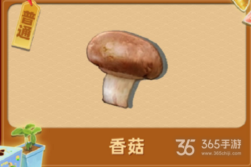 夺笋高手昆明松林山货攻略