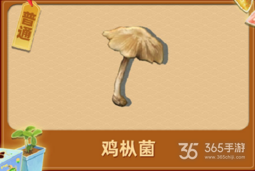夺笋高手昆明松林山货攻略