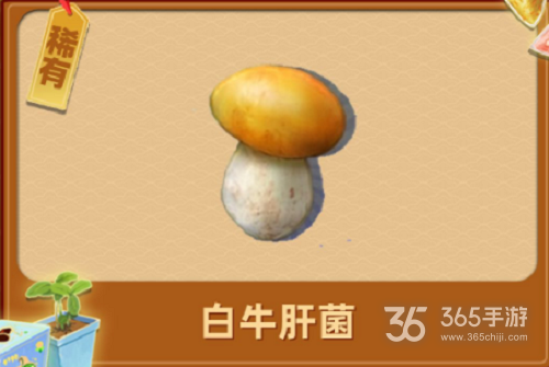 夺笋高手昆明松林山货攻略