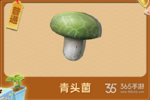 夺笋高手昆明松林山货攻略