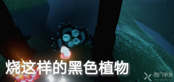光遇5.13任务攻略