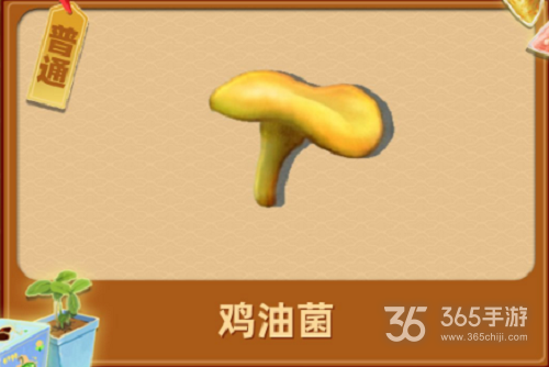 夺笋高手昆明松林山货攻略