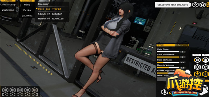 堕落玩偶steam英文名是什么.png