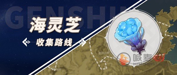 原神3.5海灵芝在哪里 3.5版本海灵芝收集路线位置一览