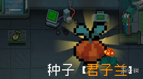 游侠网3