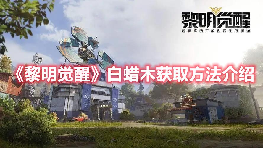 《黎明觉醒》白蜡木获取方法介绍