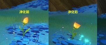 原神净化净觉花怎么玩 净化净觉花攻略分享