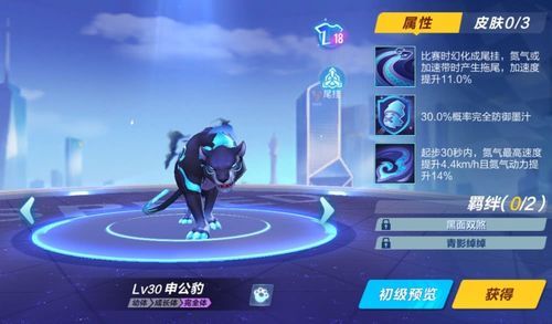 qq飞车手游宠物排行榜2023 最新T0宠物强度一览
