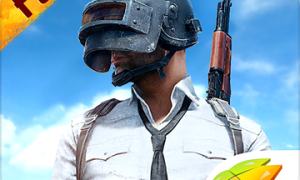 pubg国际服亚服