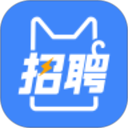 招聘猫