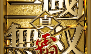 真三国无双霸正版